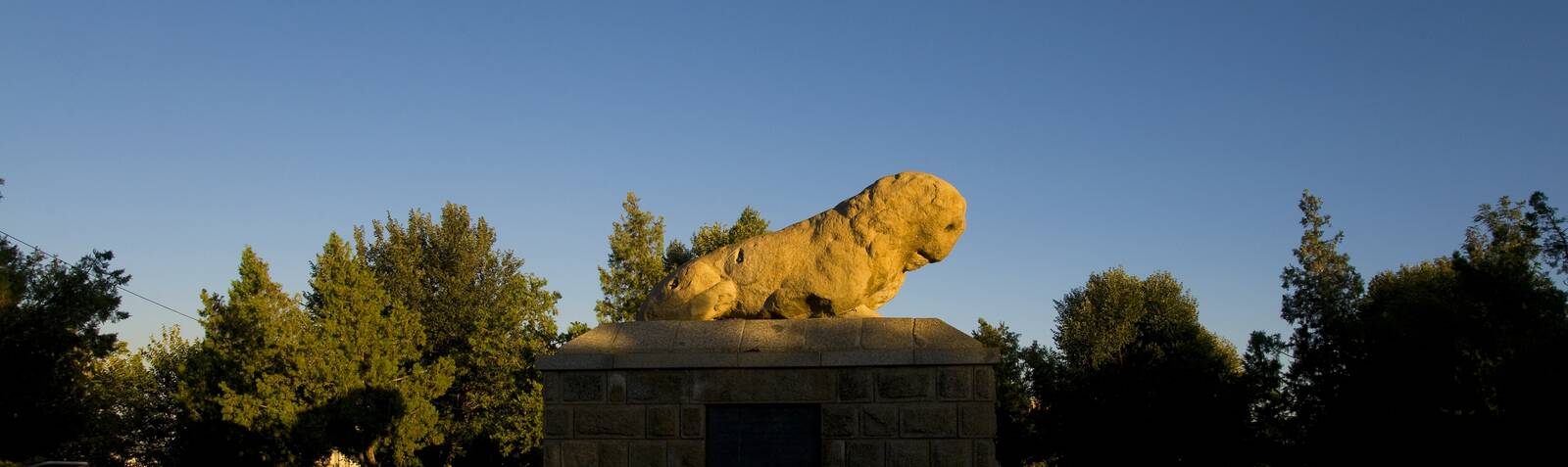 The Stone Lion
